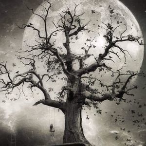 Meet your Posher, Marshall